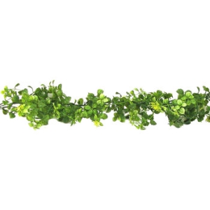 9ft Boxwood Garland (lot of 1)